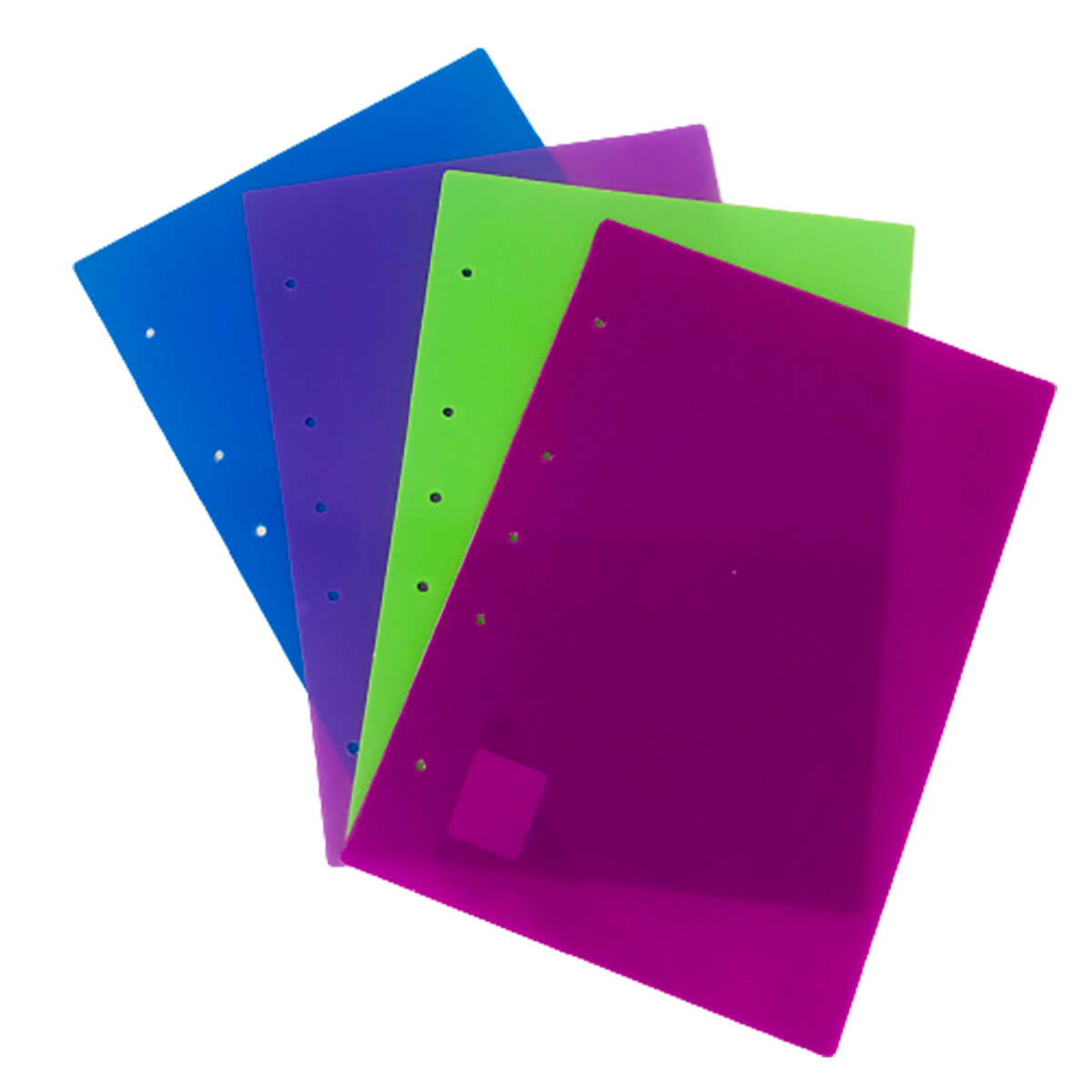 Decisión Contribuyente repertorio Carpeta A4 2 Tapas Polipropileno Colores Surtidos Neón | Lama